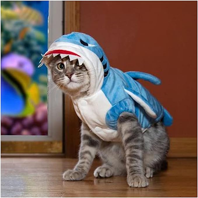 Catwalk: Show-Stopping Cat Costumes for Fashionable Felines插图