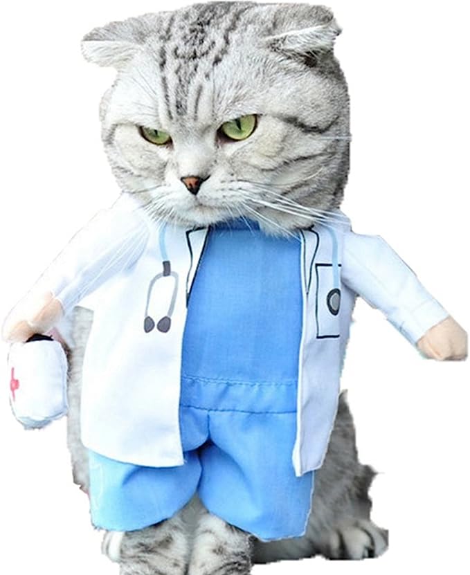 The Cutest Cat Costumes for Playtime and Dress-Up Parties插图
