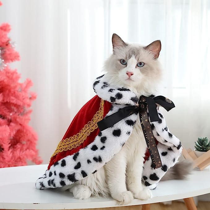 Celebrate Your Cat’s Personality with Unique Costume Ideas插图