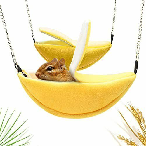 How to Choose the Perfect Banana Hammock for Your Hamster插图